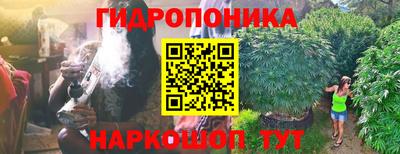 ГАЛЛЮЦИНОГЕННЫЕ ГРИБЫ Кудымкар