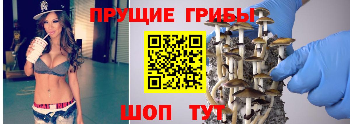 Галлюциногенные грибы ЛСД  Вход с VPN  Ефремов  Галлюциногенные грибы ЛСД 